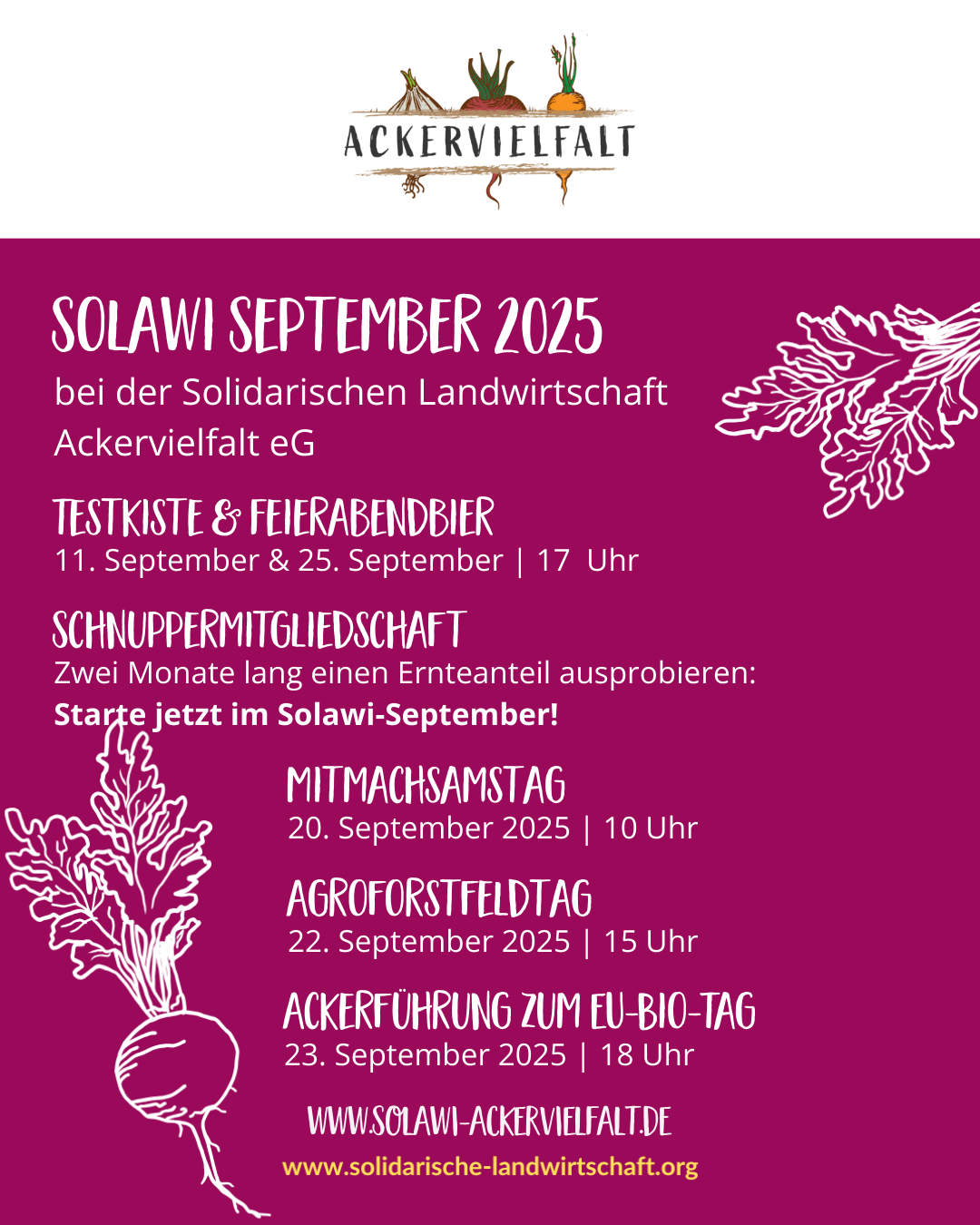 Solawi September