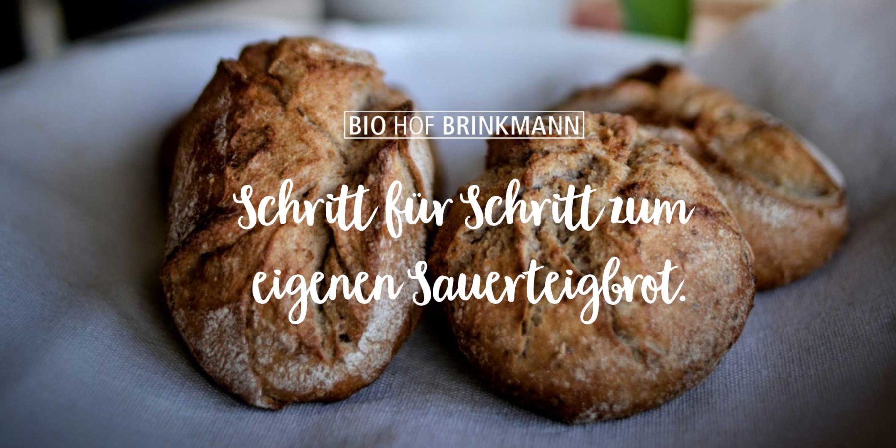 Schritt für Schritt zum ersten eigenen Sauerteigbrot.