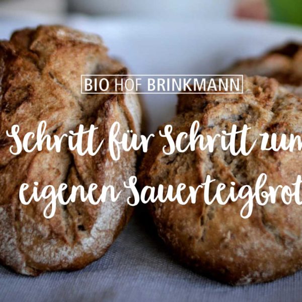 Schritt für Schritt zum ersten eigenen Sauerteigbrot.