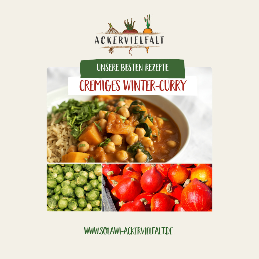 Cremiges Wintergemuese Curry