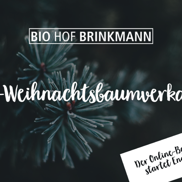 Bio-Weihnachtsbaumverkauf