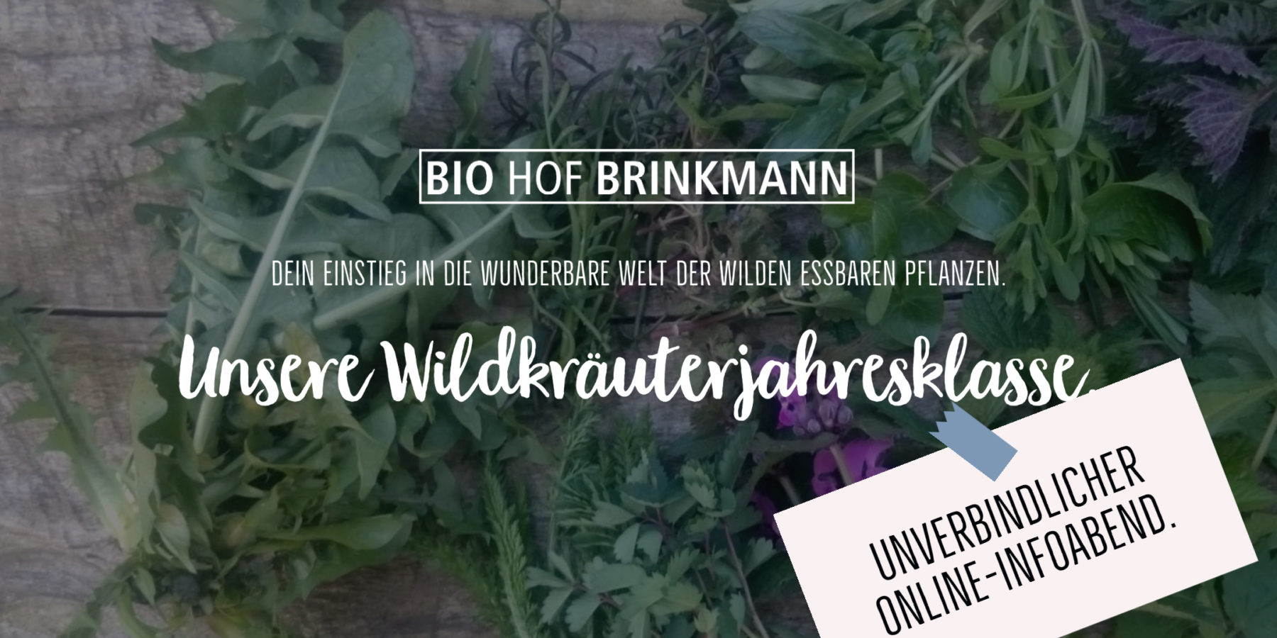 Infoabend Wildkräuterklasse