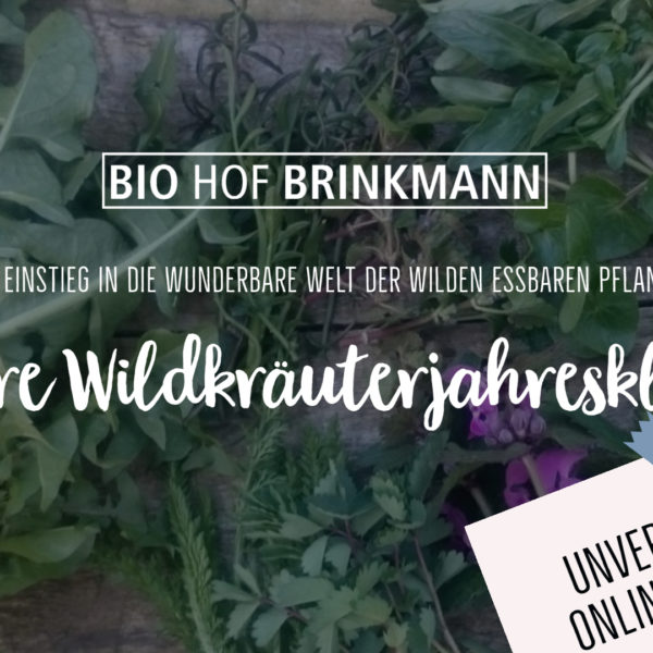 Infoabend Wildkräuterklasse