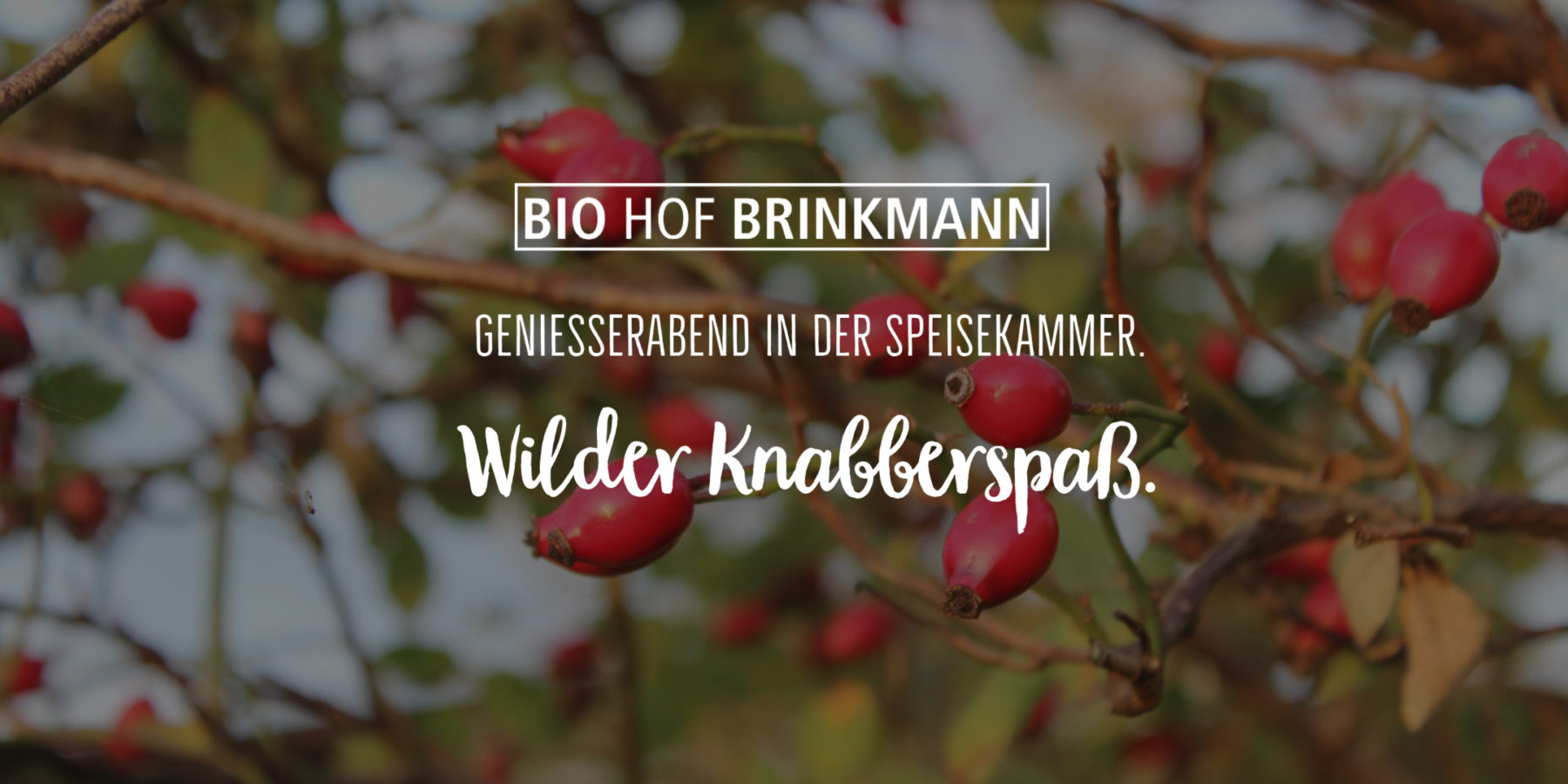 Wilder Knabberspaß